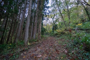 Historic old road “Salt Road” which is also a long distance hiking course and its surroundings