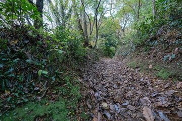 Historic old road “Salt Road” which is also a long distance hiking course and its surroundings