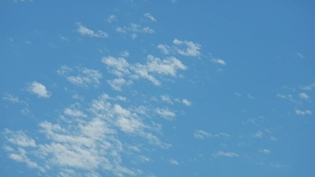 Blue sky with small white clouds and birds Stork and two Pigeons in Flight - real time, natural calm sky background. Topics: freedom, ornithology, cloudscape, sky space, meteorology, season, air space