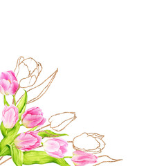 Corner frame of pink watercolor tulips with gold. Composition for cards, posters, invitations. Spring, Mother's Day, Easter, Women's Day, Birthday. Hand drawn illustration on transparent background.