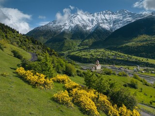 small church on alpine meadow, backdrop snowy peak, yellow flowers, aerial view