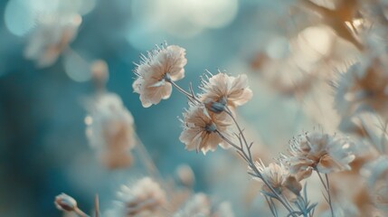 Fototapeta premium A macro shot of colorful flowers, great for advertising or editorial use