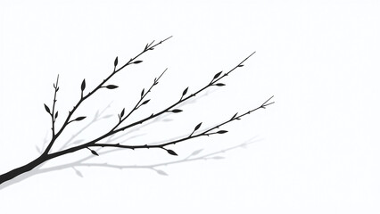 Obraz premium isolated willow twigs white background without shadows created digitally using clip path
