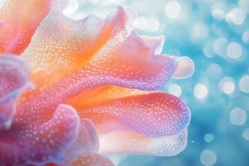 A macro shot of a flower with water droplets glistening on its petals