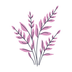 Simple illustration of plant with pink leaves. Perfect for creating minimalist plant designs