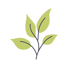 Simple illustration of small light green plant. Perfect for creating minimalist plant designs