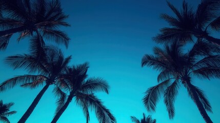 Obraz premium Silhouetted palm trees against a gradient blue sky at twilight, evoking a serene tropical atmosphere.