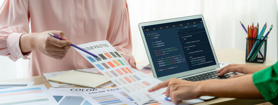 Software development programming on computer screen for brisk application and program coding