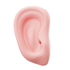 Human Organ 3D Illustration Asset