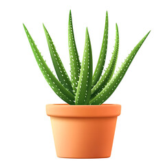 An aloe vera plant in a pot isolated on a white background.