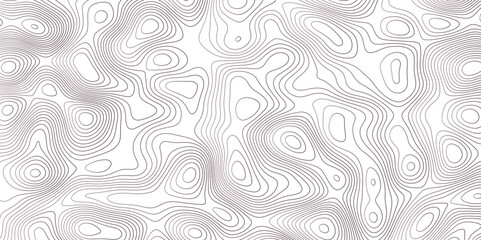 Abstract topographic map background. Topographic map lines contour background. 
