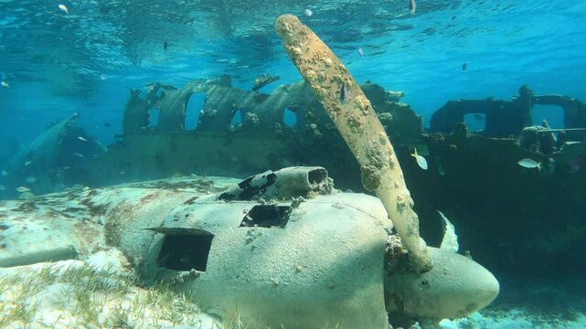 L'&eacute;pave d'un avion dans la mer &agrave; Norman's cay aux Bahamas.