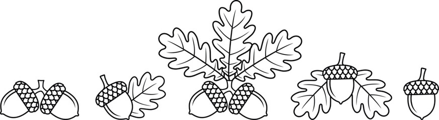 Acorn outline. Isolated acorn outline on white background. Oak set