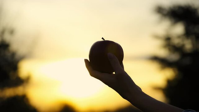 Two silhouetted hands against a warm, golden sunset. One hand is passing an apple to the other, creating a scene that symbolizes giving, sharing, or generosity. The background features a blurred