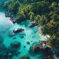 Obraz premium Serene Tropical Paradise with Clear Water and Lush Greenery
