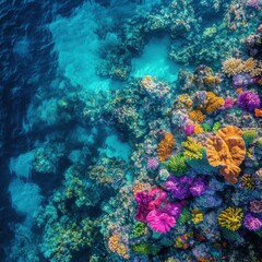 Vibrant Colorful Coral Reef Under Clear Blue Ocean Water
