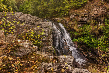 Draganov Vir Waterfall Falling down Rocks in Forest