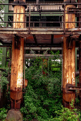 Plattform.

Die Natur kommt zur&uuml;ck.Ende einer Epoche.
