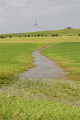 water flowing down a grass waterway in a farm field