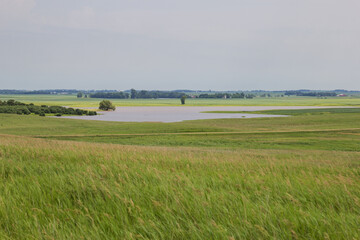 Fototapeta premium flooded farm ground
