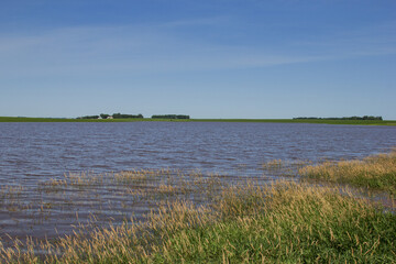flooded farm field