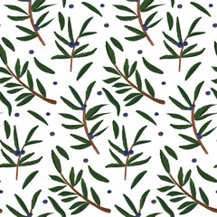Hand-drawn juniper seamless pattern, trendy botanical berry print