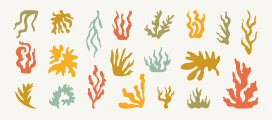 Summer Botanical Set With Abstract Floral Design Natural Elements. Tropical Silhouettes Of Flowers And Plants Collage. Abstract Spring Natural Organic Shapes Leaves Flat Application. Isolated.