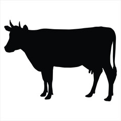 silhouette of a cow is isolated in a white background