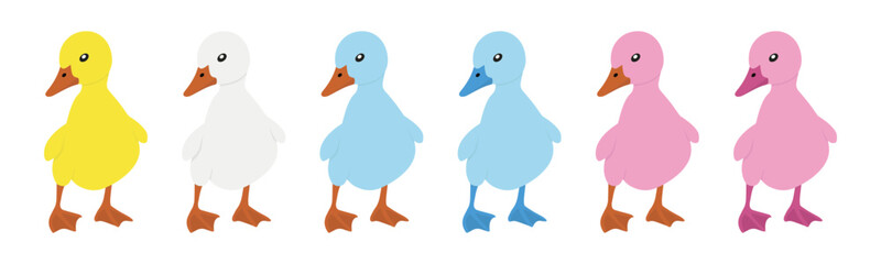 Cartoon duckling spring flat design vector illustration set