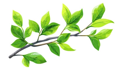 Branch with Green Glossy Leaves Vector, Fresh, Foliage, Botanical, Eco, Spring, Realistic, Elegant, Isolated, Vibrant, Natural, Plant, Lush, Decorative, Nature, Illustration