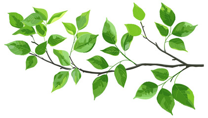 Vector Glossy Green Leaves on Branch, Fresh, Botanical, Nature, Eco, Spring, Realistic, Elegant, Isolated, Lush, Vibrant, Foliage, Plant, Decorative, Organic