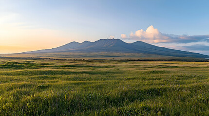 Fototapeta premium Serene Sunset Landscape: A Flat Topped Mountain Overlooking a Vast Grassland