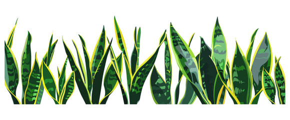 Dense Row of Sansevieria Plants, vector plants, green leaves, decorative foliage, indoor plants, natural decor, modern houseplants, gardening, tropical plants