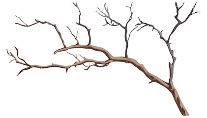 Tree branches isolated on white background, dry branches, winter tree, isolated dry tree, leafless branches, nature silhouette, bare tree twigs, autumn tree