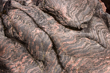 Close-up of a section of Greyish color Lewisian Gneiss, exposed in an outcrop on the banks of Loch...