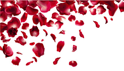 Falling Red Rose Petals Vector, Scattered Rose Petals, Ink Petals Falling, Romantic Floral Petals, Rose Blossom Petals, Isolated Petals Background, Love Symbol Petals