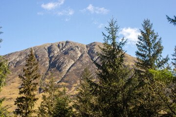 View from Signal Rock in Glen Coe through the treetops of a small woodland in Scotland