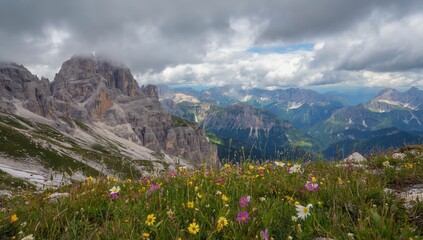 on top of the mountain
