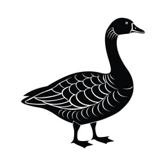Elegant Black and White Goose Vector for Nature and Wildlife Illustrations