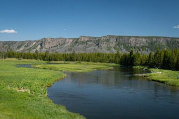 Lush meadows along the Madison River in Yellowstone National Park.