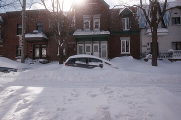 Snow-covered cars parked in a street