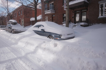 Snow-covered cars parked in a street