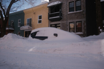 Snow-covered cars parked in a street