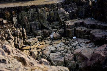 ゴミが漂着している岩場