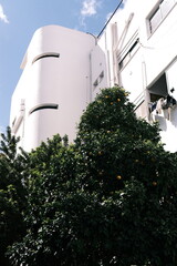 Obraz premium Haifa property