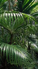 Fototapeta premium Close-up of dense, green tropical leaves resembling palm fronds, captured in an Asian forest.