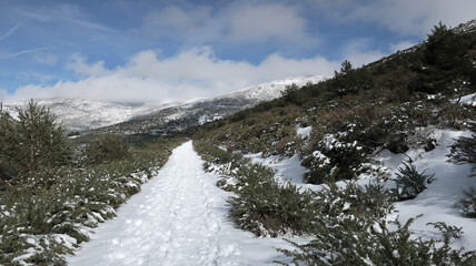 Monta&ntilde;a nevada