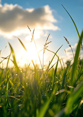 Fototapeta premium Aerial Time-Lapse Shot of City Skyline