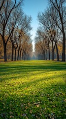 Where barren trees cast lush floating green shadows