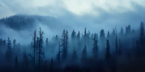 Tableau sur plexiglas Forêt brumeuse Bryce Canyon Fog   © Nikola